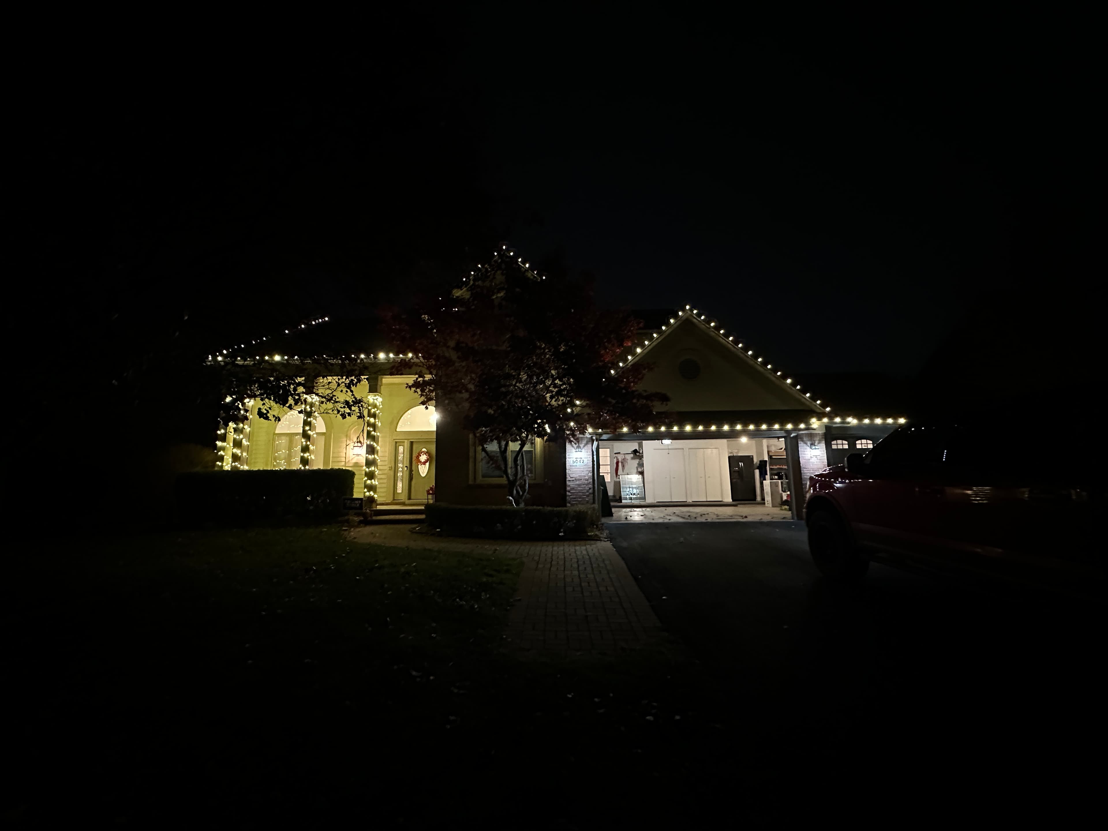 Walkway and landscape lined with Christmas lights